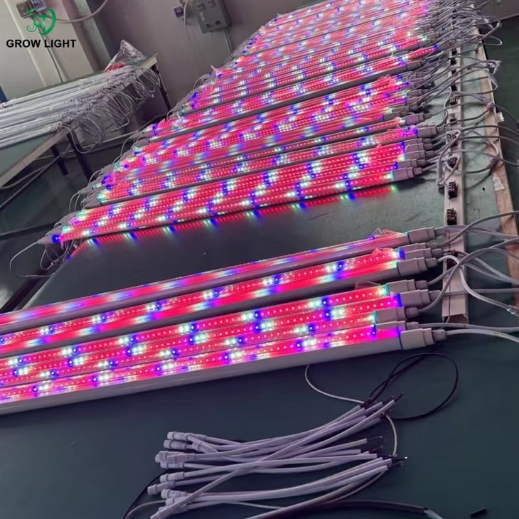 full spectrum grow lights for seedlings