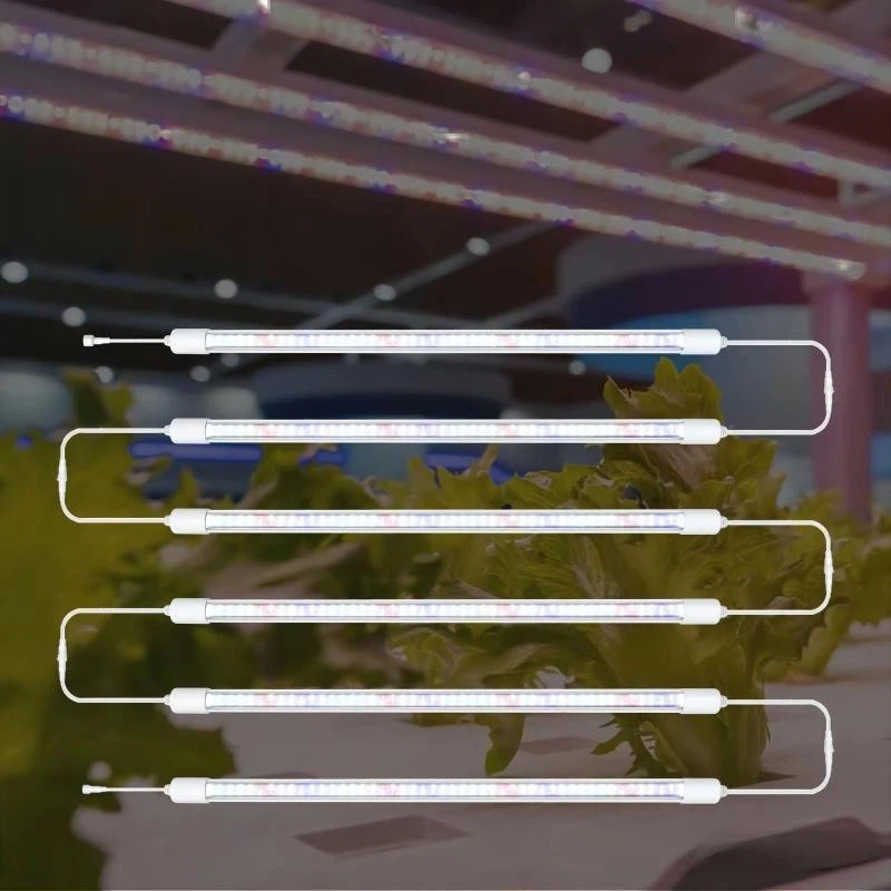 LED grow lights for hydroponics