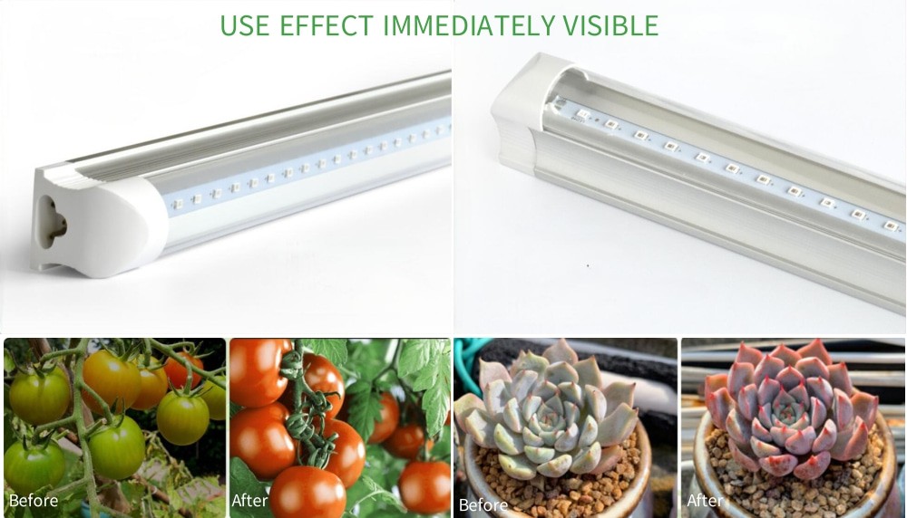 LED light for plants